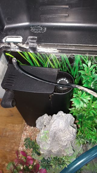 Acuario 55 litros con decoración rebajado