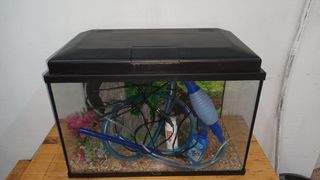 Acuario 55 litros con decoración rebajado
