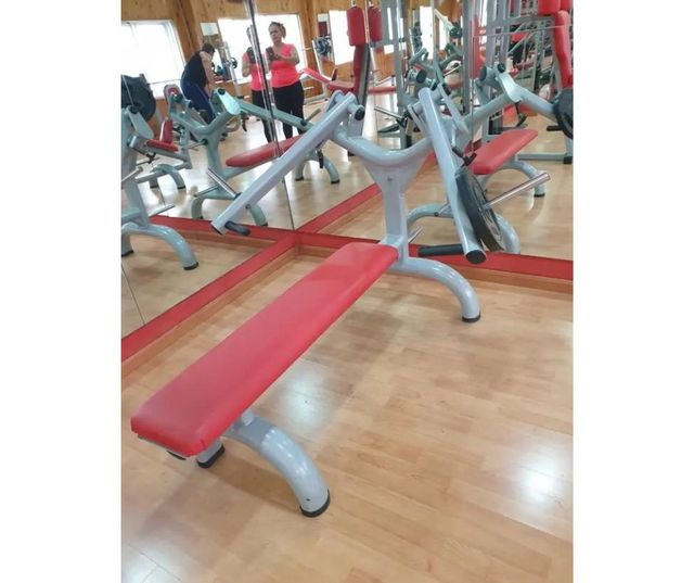 maquinas de gimnasio sueltas baratas
