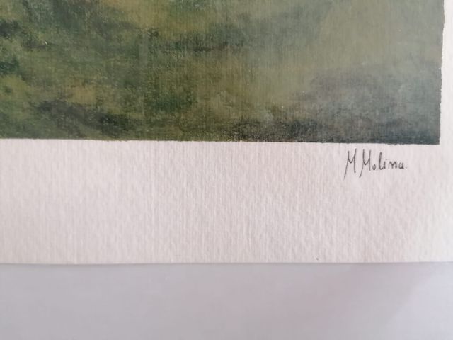 LAMINAS PARA CUADRO  MARTA MOLINA