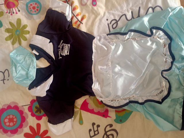 Disfraz camarera burguer