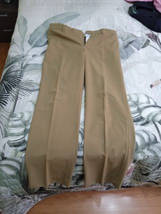 Chaqueta, pantalon y camisa