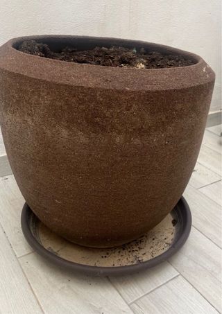Macetero de barro grande 46,5 x 49cm