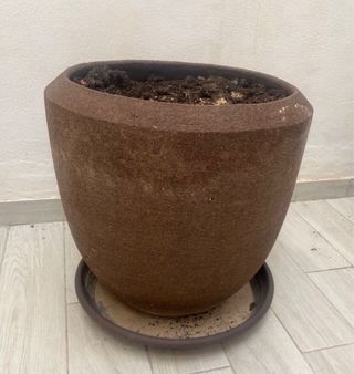 Macetero de barro grande 46,5 x 49cm