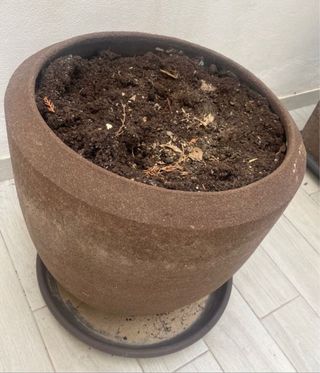 Macetero de barro grande 46,5 x 49cm