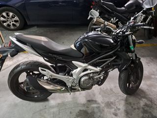 Suzuki Gladius 650