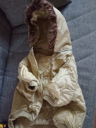 Cappotto cani