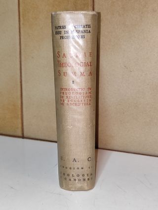 libro SACRAE THEOLOGIAE SUMMA I