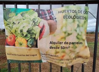 Huerto ocio - huerto urbano