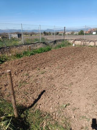 Huerto ocio - huerto urbano