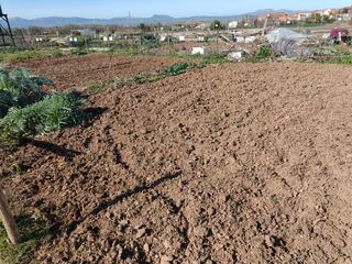 Huerto ocio - huerto urbano