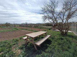 Huerto ocio - huerto urbano