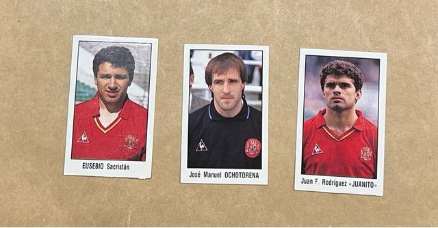 Cromos Seleccion Española (Revilla)