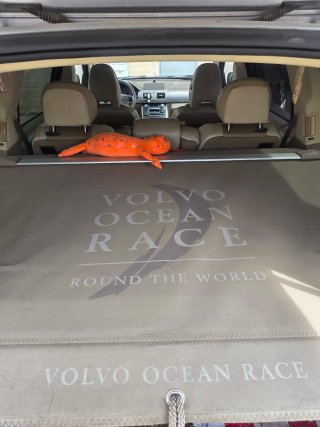 Volvo XC90 ocean race edition 7plazas año 2009