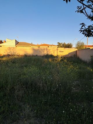 Desbrozar 
