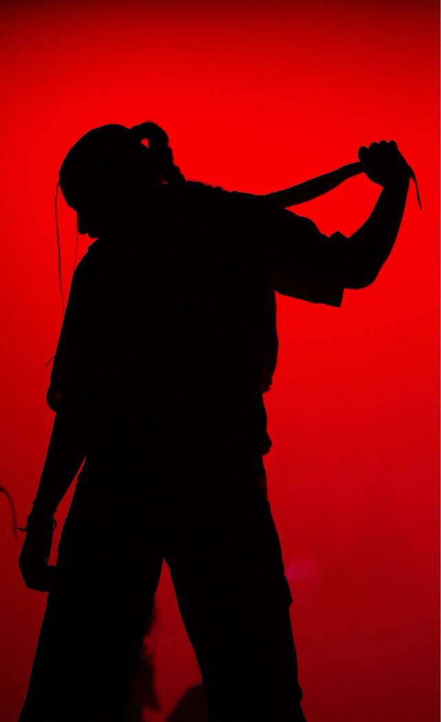 Fotografo Profesional 