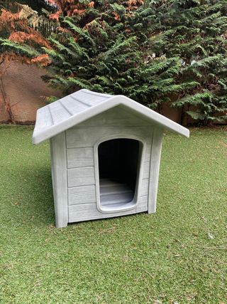 Caseta de perro