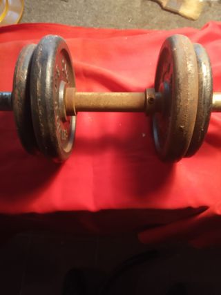 Pesas y barras para gimnasio