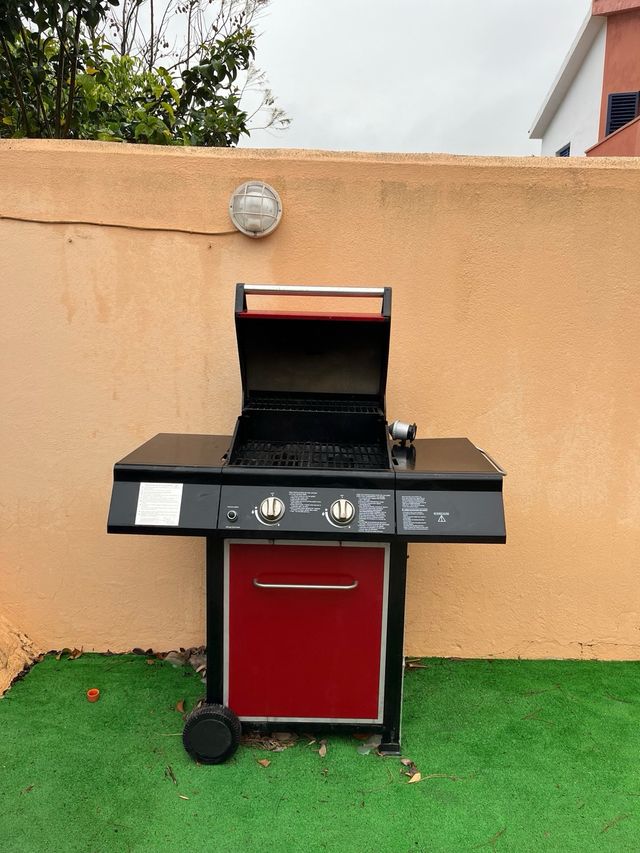 Barbacoa de gas