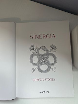 libro sinergia