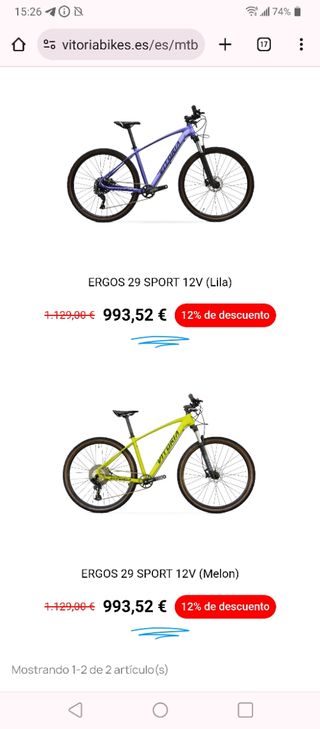 Bicicleta montaña Vitoria Ergos Sport 29