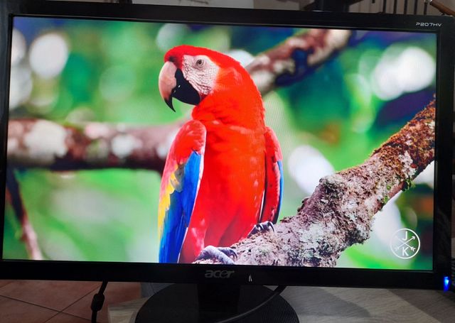 Monitor ACER LCD 20 pollici