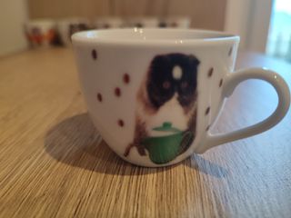 Set di 6 tazzine e piattini con gattini