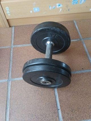 Mancuerna 12 kg