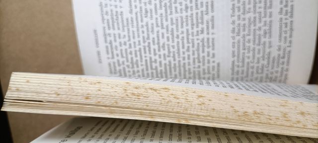 Libro Entre visillos Carmen Marti Gaite 1972