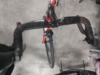 Olympia ikon ultegra talla M