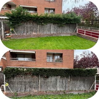 Jardinero, poda, mantenimiento, limpieza piscinas