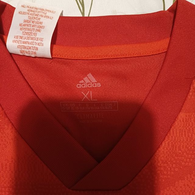 Camiseta de fútbol.