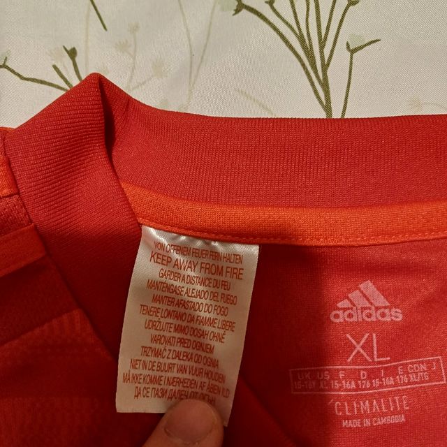 Camiseta de fútbol.