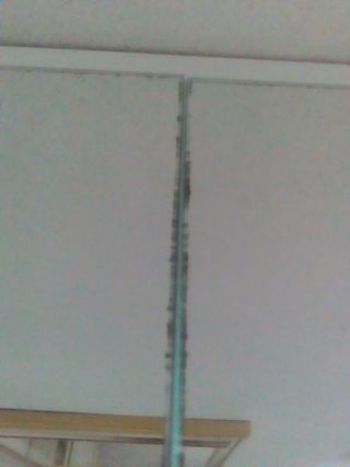 Piastrelle specchio 15x15