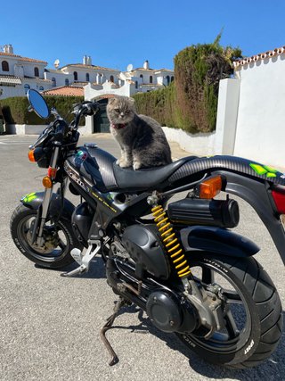 suzuki street magic