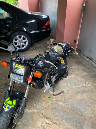 suzuki street magic