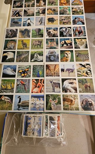 La tombola degli animali Ravensburger