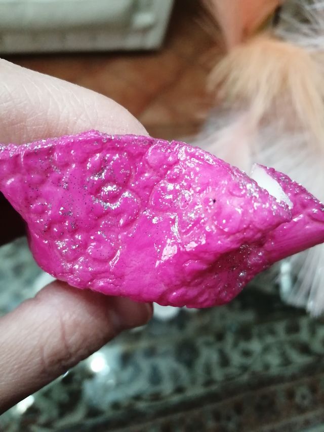 Bomboniere segnaposto