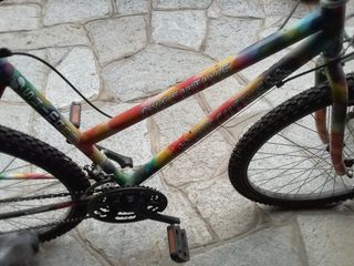 Mountain bike 