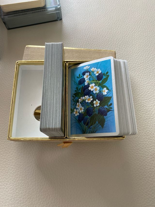 Carte da gioco VINTAGE CONGRESS