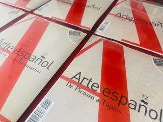 COLECCION 12 DVD ARTE ESPAÑOL
