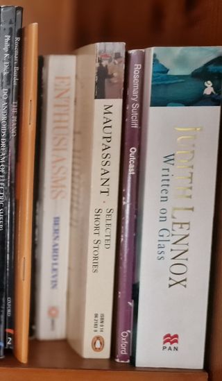 Inglés-LECTURAS ADAPTADAS DE SECUNDARIA