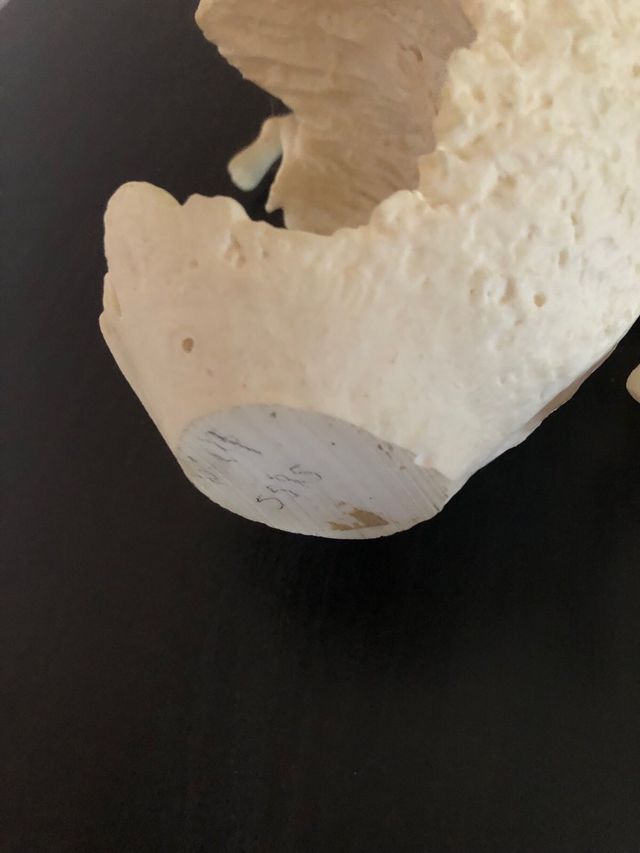 La creacion en marmolina