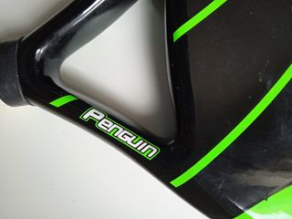 Raqueta pala pádel Masspro Fiber glass