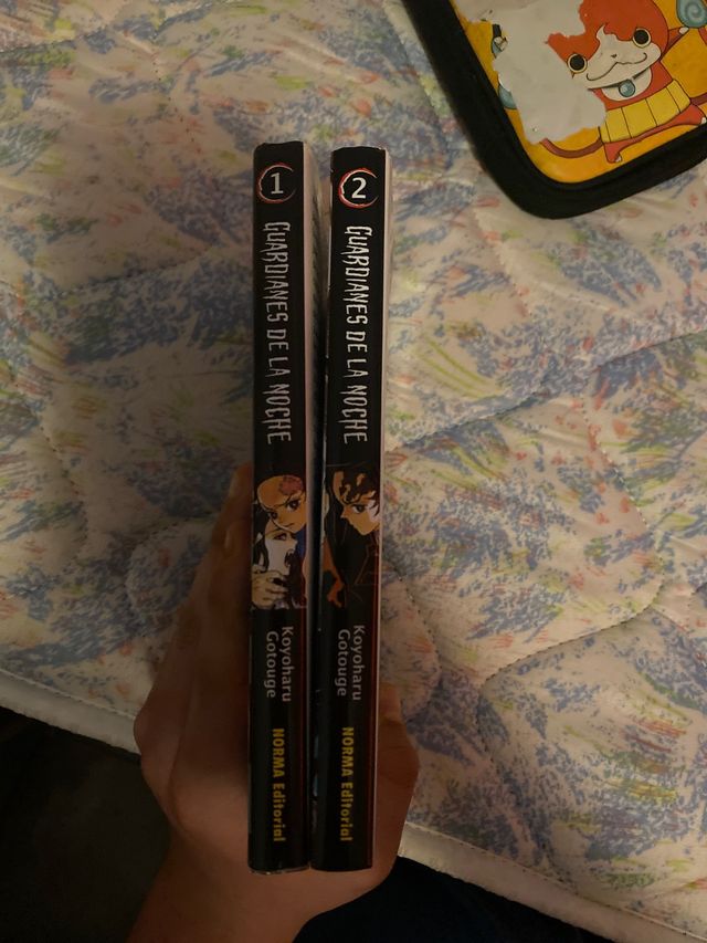 Guardianes de la noche