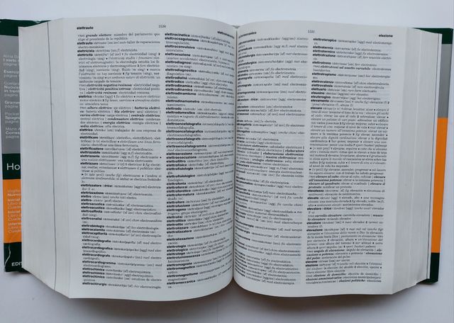 Grande Dizionario Spagnolo, Laura Tam