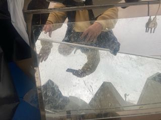 Espejo retro cristal 80 x 60 cm