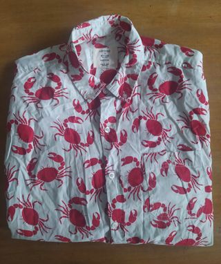 2 Camisas manga corta estilo veraniego 