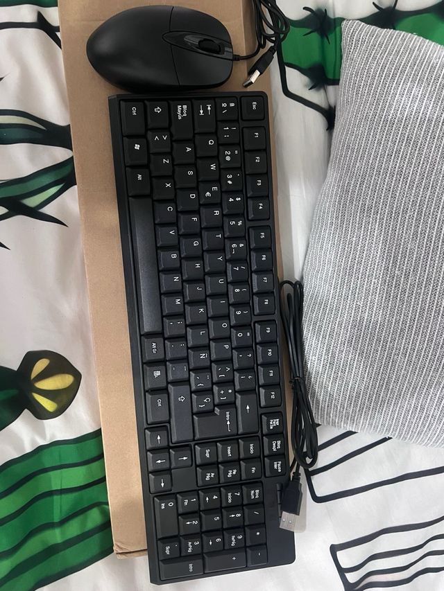 Teclado + raton