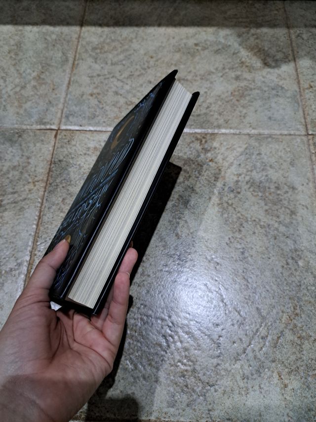 Winterwood de Shea Ernshaw